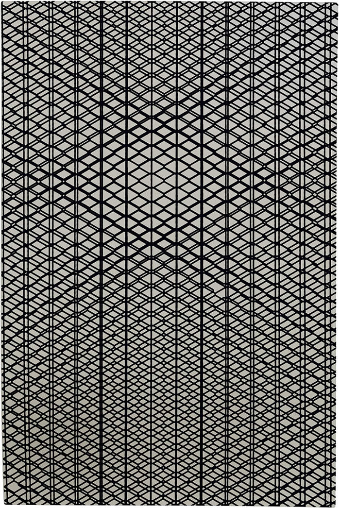 现代风格黑白网状图案地毯贴图