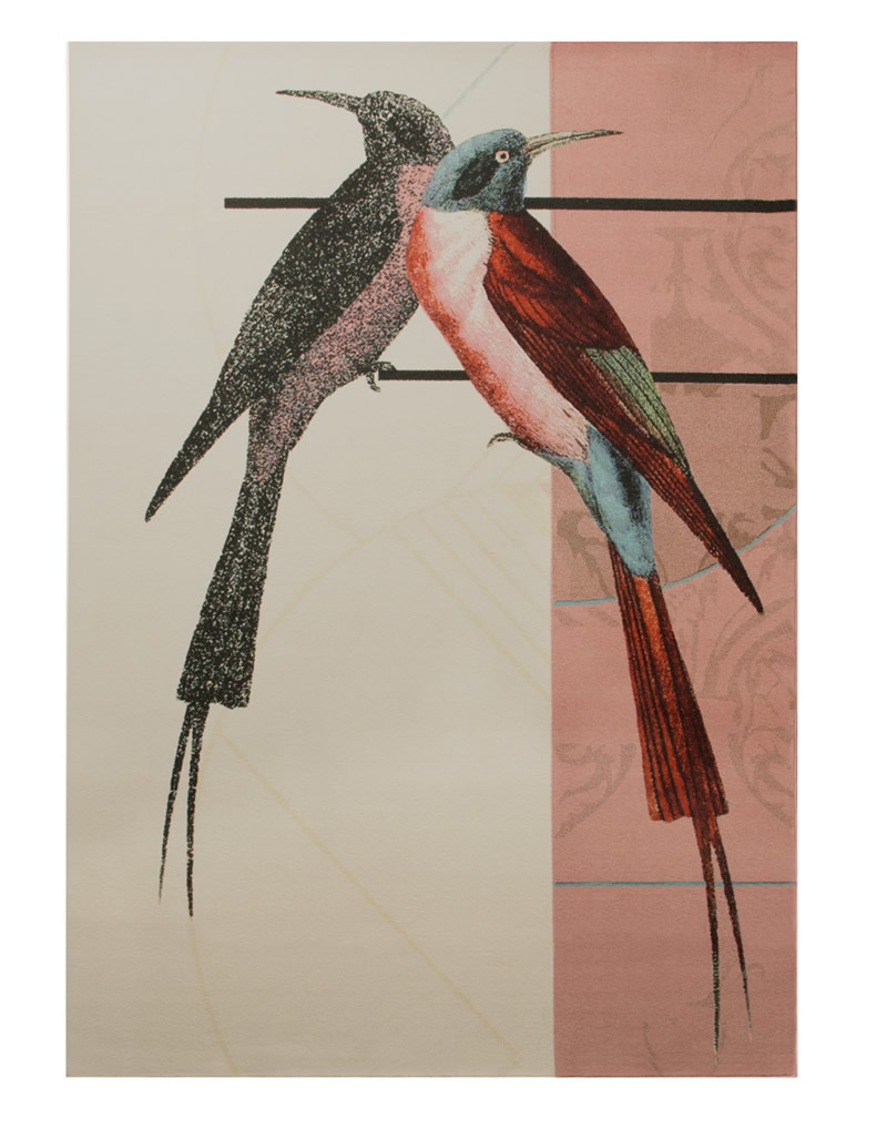 现代美式小鸟图案地毯贴图-高端定制