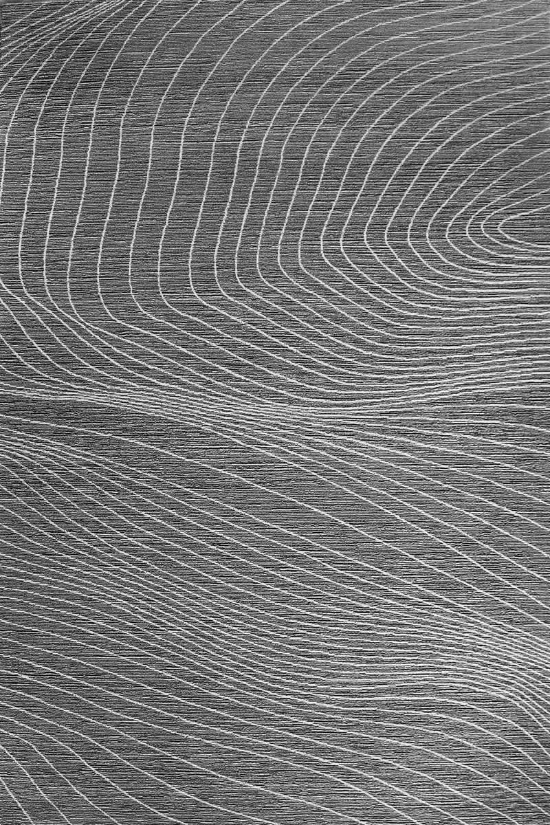 现代简约黑白不规则线条图案地毯贴图