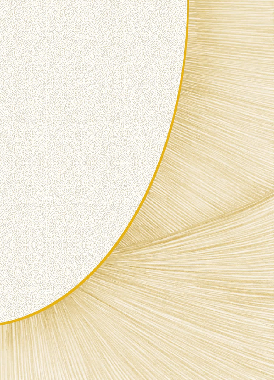 现代风格太阳阳光线条黄色纹理图案地毯贴图